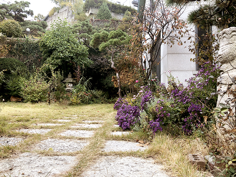 옐로우루시 프랑스자수 출강, 유금와당박물관 정원