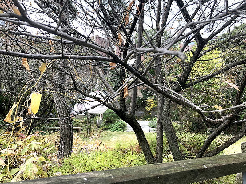 유금와당 박물관 정원의 나무, 프랑스자수 출장수업